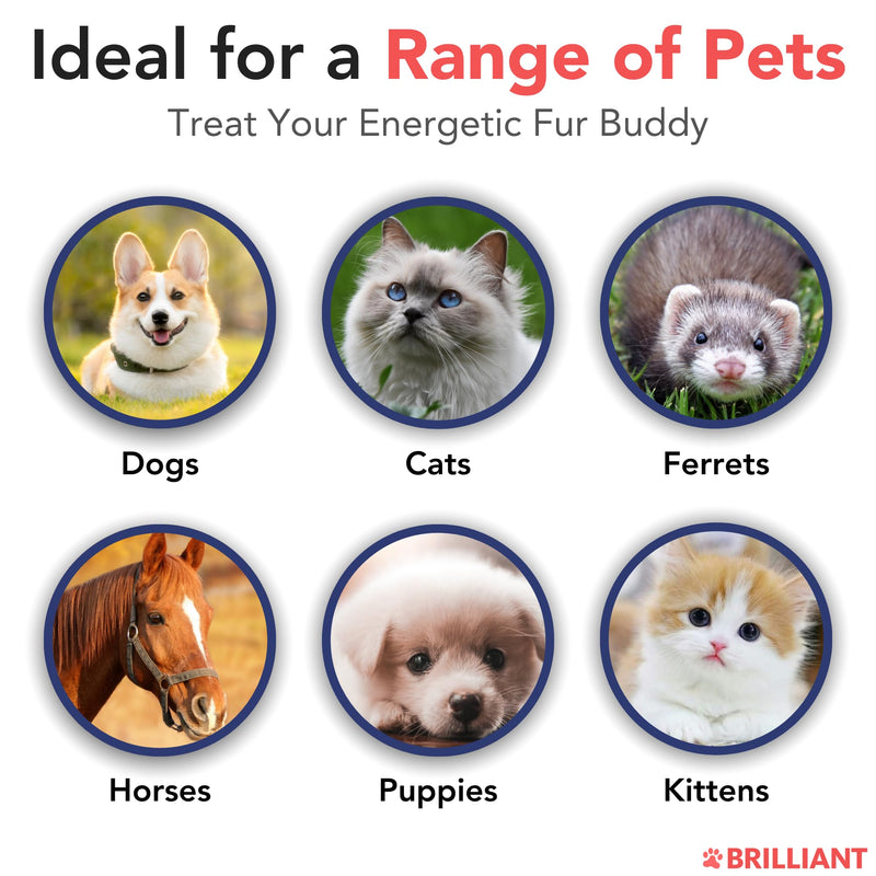 Brilliant Norwegian Salmon Oil for Dogs, Cats, Horse, Ferret - Pure Omega 3, 6 & 9 Fish Oil Food Treats Supplement for Natural Coat, Immune Support, Itchy Skin, Joint & Brain Health - 2x300ml 300 ml (Pack of 2)