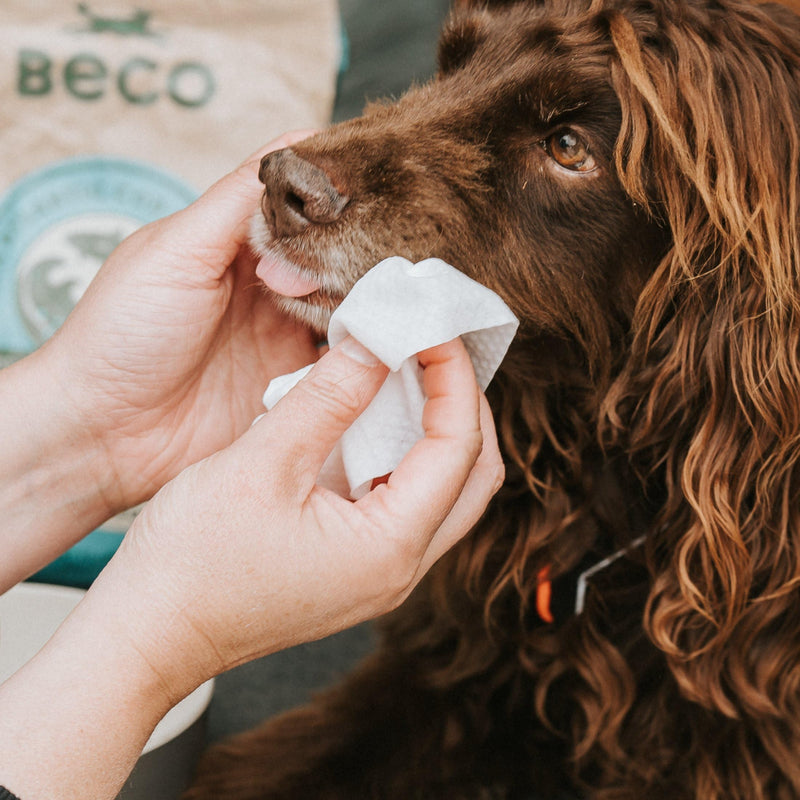 Beco Bamboo Dog Wipes - Plastic-Free 80 Wipes, Coconut Scent, For Paws, Body and Bottom, Herbal Care Wipes - BeesActive Australia