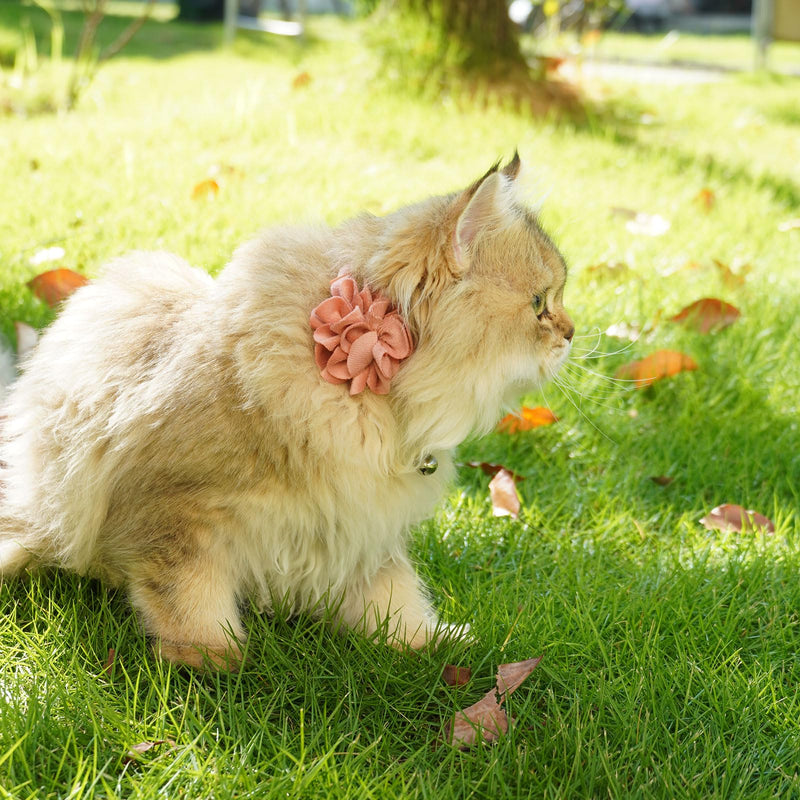 azuza 2 Pack Cat Collar Floral with Bell and Removable Flower Bowtie Breakaway Adjustable Velvet Fabric Cat Collar for Pets Valentine's Day Gift and Daily Decoration，Wine Red & Rose Pink Neck: 8"-12" Wine Red & Rose Pink - BeesActive Australia