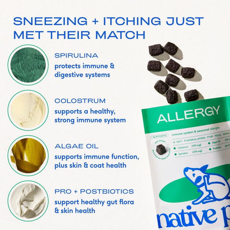Native Pet Allergy Chews for Dogs (60 Air-Dried Chews) & Daily Dog Vitamins & Supplements (60 Scoops) - Itching Relief for Dogs & 11-in-1 Multivitamin with 21 Supplements & Vitamins