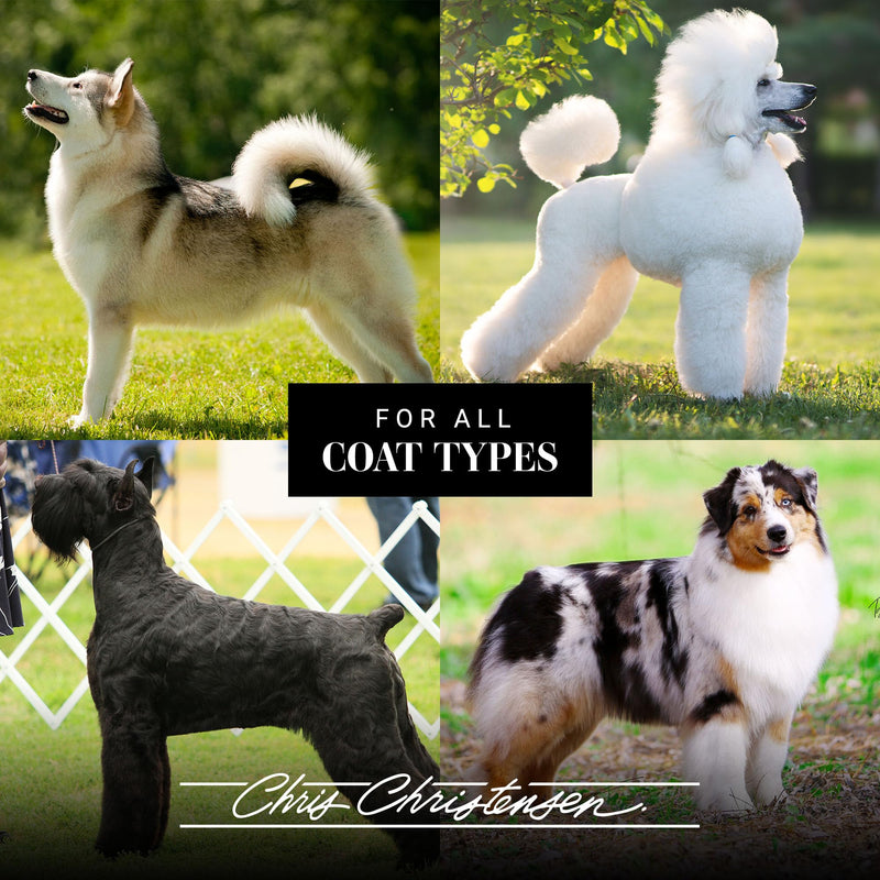 Chris Christensen Big G Dog Slicker Brush for Dogs (Goldendoodles, Labradoodles, Poodles), Groom Like a Professional, Fluff Detangle Style, Saves Time Energy, Teal, Medium - BeesActive Australia