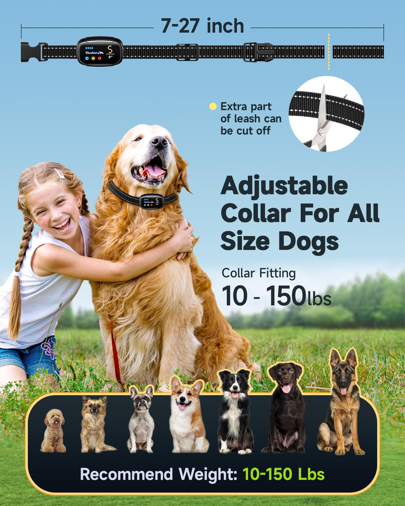 Bark Collar 2 Pack, Update Barking Count Dog Shock Collar for Large Medium Small Dogs 10-150lbs, Rechargeable Anti Barking Training Silencer,5 Adjustable Sensitivity, IP67 Waterproof - BeesActive Australia