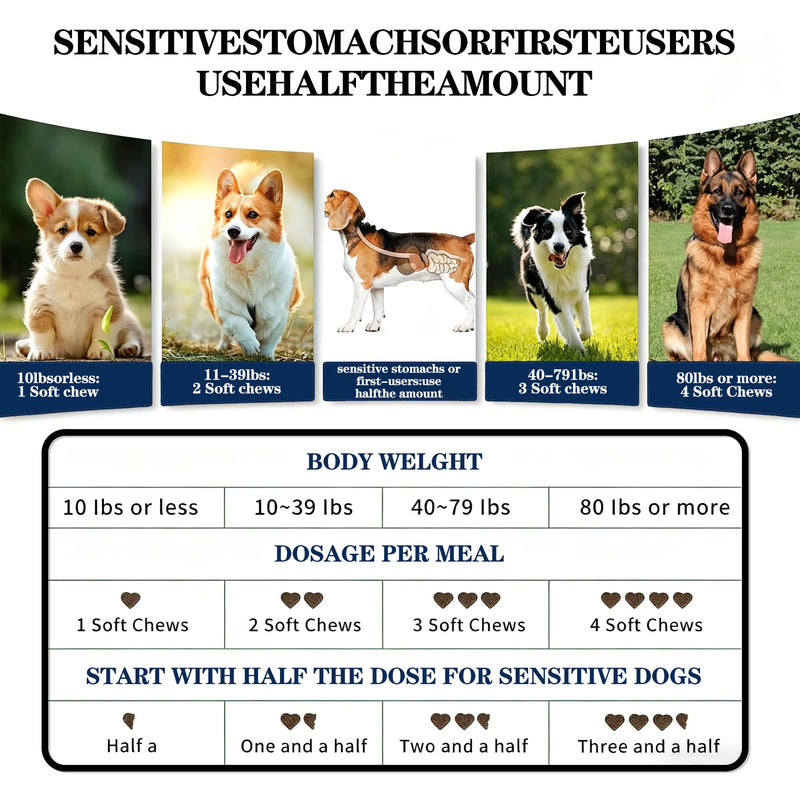 Probiotics for Dogs – Probiotic Chews with 4.8 Billion CFU, Digestive Enzymes & Pumpkin | Dog Gut Health Supplement for Diarrhea, Gas & Sensitive Stomach | Soft Chews for Senior Dogs & All Breeds Chicken 100 Chews*1