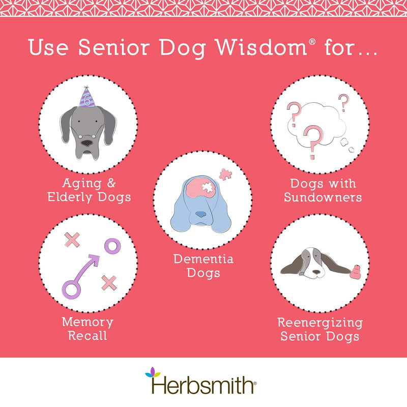 Herbsmith Senior Dog Wisdom – Dog Dementia Supplement – DHA for Senior Dog Brain Health - Senior Supplement for Dogs- 75g Powder