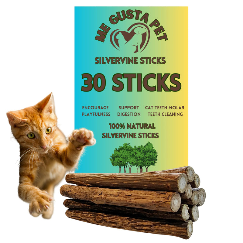 Cat Toys Silvervine Sticks for Cats | Matatabi Cat Chew Stick | Cat Toy Catnip Sticks Organic Cat Chew Toys | Wooden Stick Kitten Teething | Silvervine Sticks for Cat (Pack of 30) - BeesActive Australia
