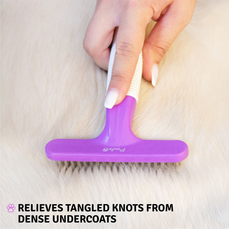 Round Bristle Pet Brush + Dog Grooming Rake + Cat Nail Clipper Bundle - BeesActive Australia