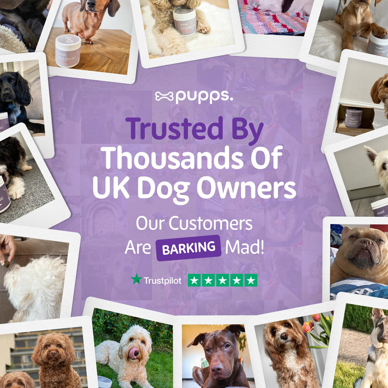 Pupps Calming Dog Treats – 120 Natural Anxiety & Stress Relief Chews | Vet Approved with Hemp, Chamomile & Valerian | Helps Reduce Barking, Separation Anxiety & Hyperactivity | UK Made for All Breeds 120 x Chews