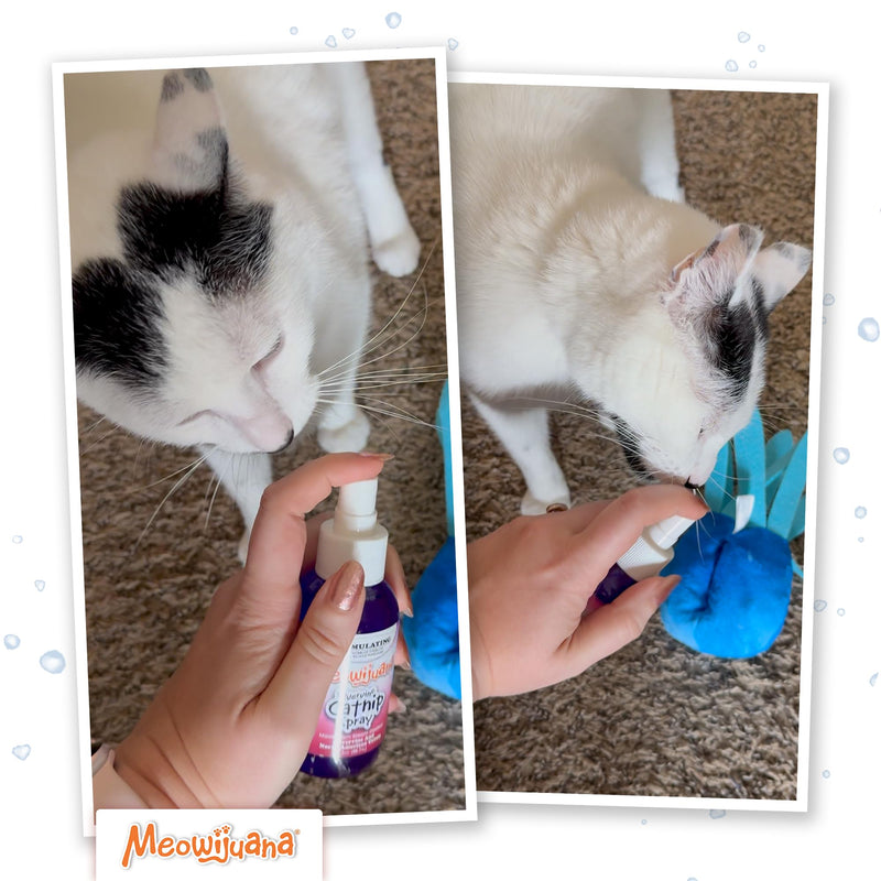 Meowijuana Catnip & Silvervine Spray - 3 oz | High Potency Formula | Natural Formula for Pet Owners & Multi-Cat Households | Enhance Playtime & Relaxation | Perfect for New Cat Owners Catnip Spray with Silvervine