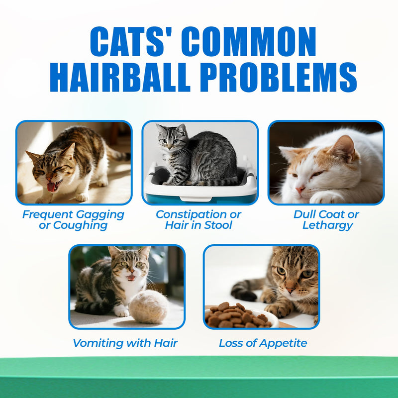 Just Try 300 Bites Hairball Control Cat Treats - Hairball Treatment & Relief for Cats - with Cat Grass, Pumpkin, & Omega-3 Fish Oil, Crunchy Chicken Flavor Crunchy Bites
