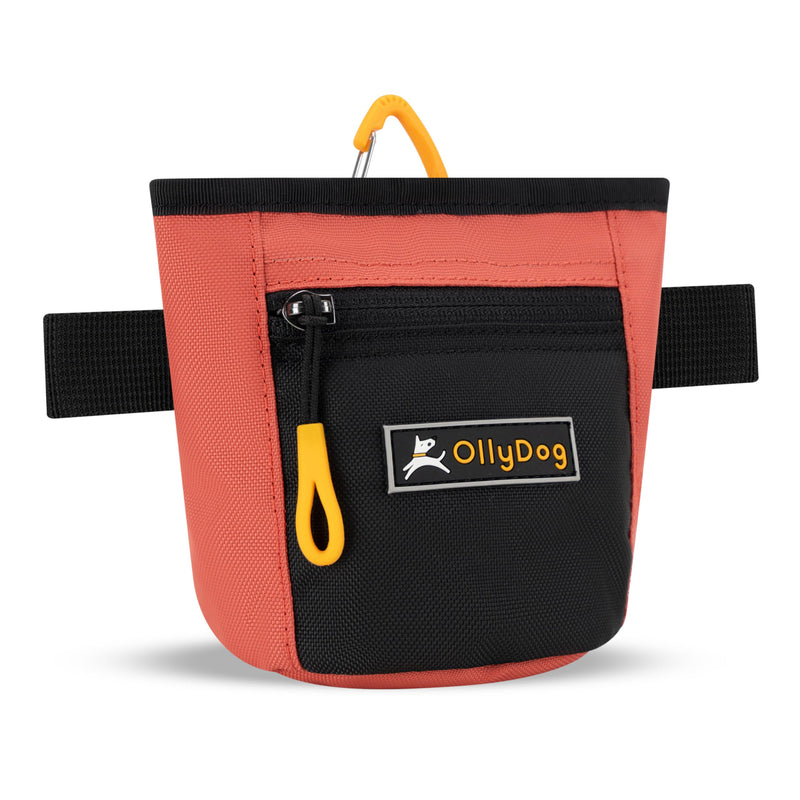 OllyDog Goodie Treat Bag, Dog Treat Pouch, Waist Belt Clip for Hands-Free Training, Magnetic Closure, Dog Training and Behavior Aids, Three Ways to Wear (Reef) Reef - BeesActive Australia