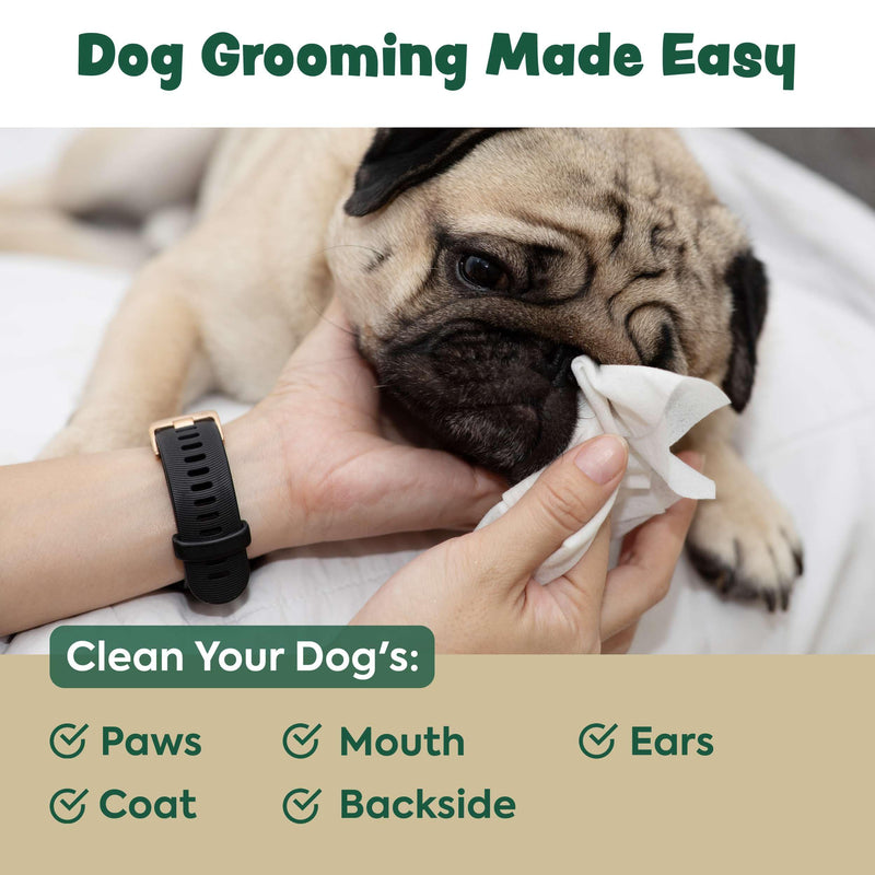 Dog Wipes for Cleaning and Deodorizing - 50 8.5" x 9" Bamboo Pet Wipes - Compostable, Hypoallergenic Puppy Wipes - Dog Wipes for Paws, Butt, and Body 50 Wipes (1 Pack of 50) - BeesActive Australia