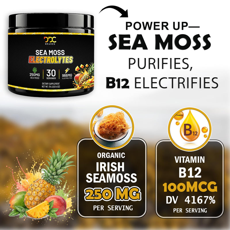 Hydration Powder Immune Support Sugar Free Mango Pineapple