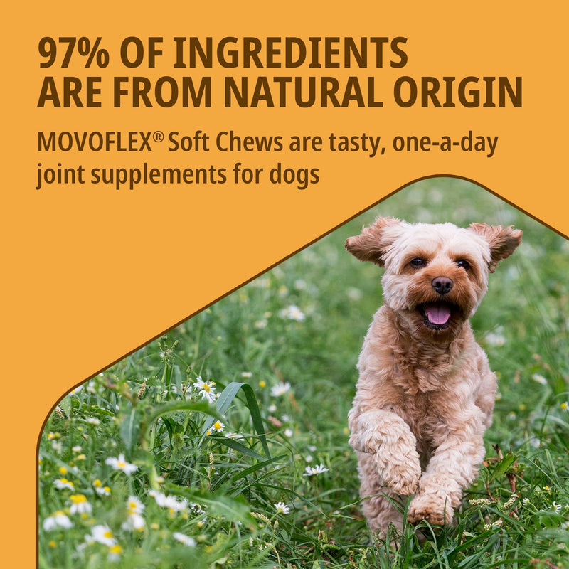 MOVOFLEX® Joint Supplement for Small Dogs <15kg | Supports Joints & Mobility | Fast-Acting Tasty Chews | 30 Chews