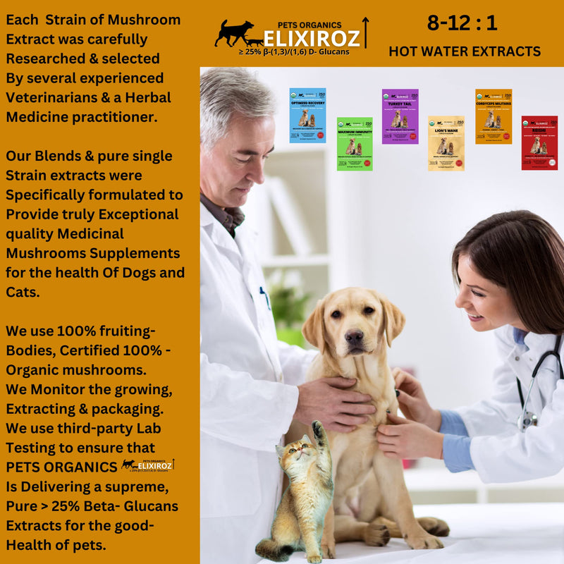 PURE CORDYCEPS M >25% β-glucans,100% Mushrooms Fruiting Bodies 8-12:1 Extract for Dogs & Cats Stamina, Energy & Tonic. Anti inflammatory. Immune, Brain, Kidney, Liver health. 250 SERVINGS for 25lb pet - PawsPlanet Australia