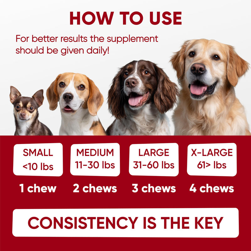 Probiotics for Dogs Digestive Health - Probiotic Chews for Gut Health, Itchy Skin Yeast, Diarrhea - USA Product - Immune Support Supplement - Dog Digestive Support & Allergy Relief Chews with Enzymes Probiotic & Enzymes Chews