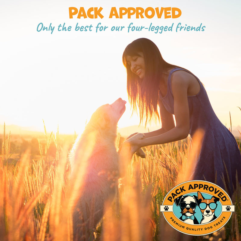 Pack Approved Ear Wipes for Dogs with Aloe Vera & Eucalyptus - Gentle Ear Cleaner for Dogs to Help Remove Wax and Odor - Convenient and Mess-Free Cleaning Pads for Dirty, Itchy Ears - 100 Wipes Regular Wipes