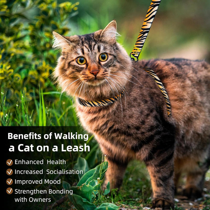 Cat Harness and Leash Escape Proof, Adjustable Soft Kitten Leash for Outdoor Walking & Travel with Breathable Nylon, 4.9ft Cat Leash for Adult - Lightweight & Safe Large Cat Harness [M] Neck Girth: 12.2"-15.7", Chest Girth: 15.7"-20.47" - BeesActive Australia