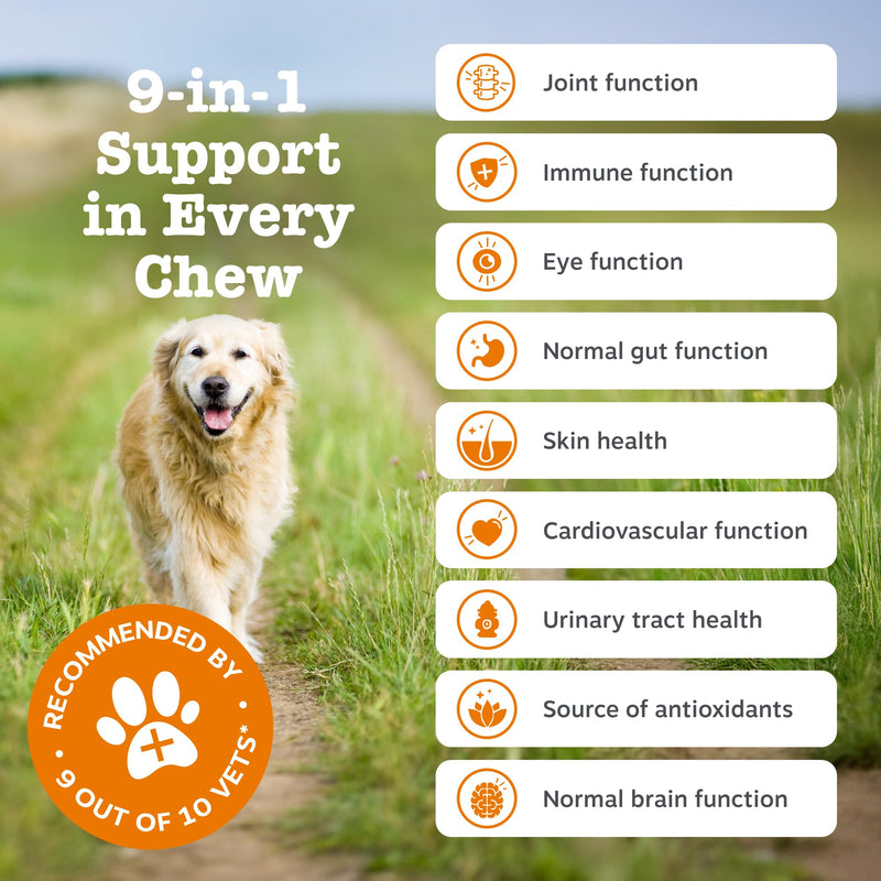 Zesty Paws 9 in 1 Multivitamins for Senior Dogs | Supports Joints, Skin, Eyes, Brain Function, Immune System, Urinary Tract, Heart & Gut Health| Vitamin A, B & C, Folic Acid, Biotin | 90 Chews