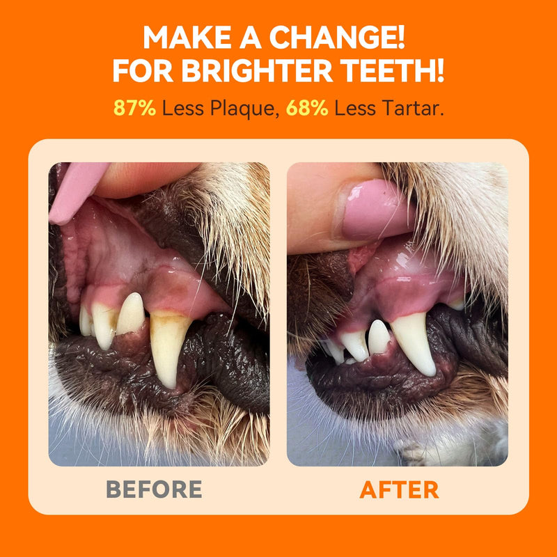 Dog Dental Powder, Dog Teeth Cleaning Powder for Teeth Cleaning Breath Freshener, Dental Powder for Dogs Teeth Cat Dog Dental Care Plaque Off Tartar Remover for Dogs & Cats, 100g - PawsPlanet Australia