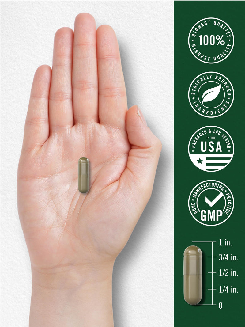 Carlyle Fruits and Veggies Supplement | 250 Capsules | Made With 30 Fruits and Vegetables | Vegetarian, Non-GMO, Gluten Free Superfood Formula