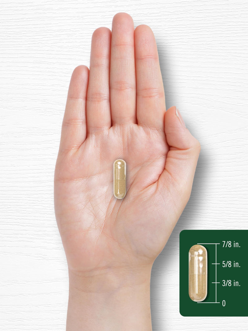 Carlyle Neem Leaf | 950mg | 150 Powder Capsules | Non-GMO and Gluten Free Formula | Value Size | Traditional Herbal Supplement | Azadirachta Indica 150 Count (Pack of 1) - BeesActive Australia