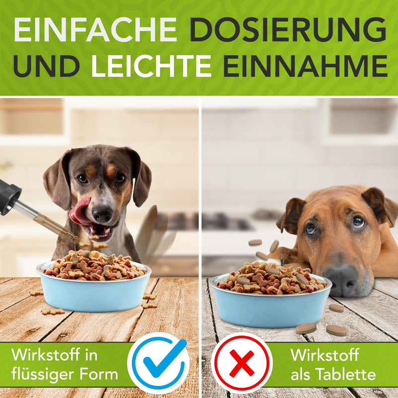 ENEMEL® joint complex for dogs [30ml] | Innovation through drops | Joint complex dog | Made in Germany 30ml - BeesActive Australia