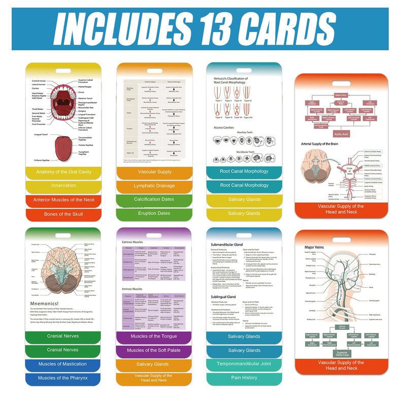 13 Pieces Dental Hygiene Reference Study Cards