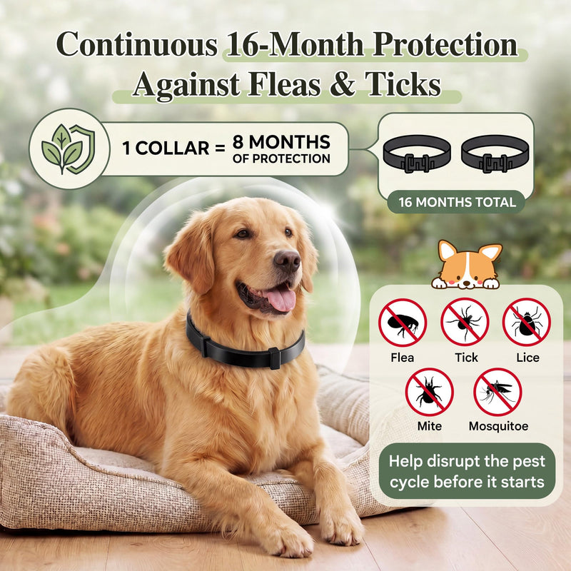 Flea and Tick Collar for Dogs with 5 FT Leash, Essential Oils Collars, Rope Dog Leash with Padded Handle, Adjustable Size Dog Walking Set, Flea and Tick Prevention for Dogs, Puppies