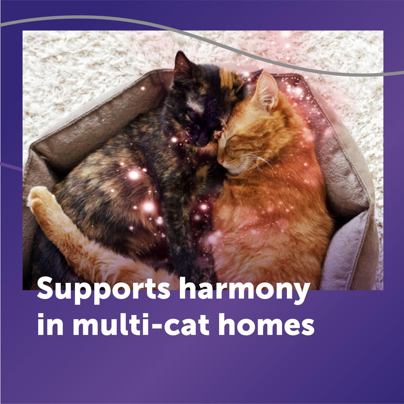 FELIWAY Optimum Cat Calming Diffuser Refill (3 Pack, 90 Day Supply) – Cat Pheromone Diffuser Refill for Advanced Support to Reduce Stress, Spraying, Scratching, Fighting and Hiding 3 pack