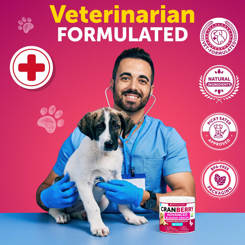 Dog UT Treats - Cranberry Chews for Dogs - Urinary Tract & Bladder Support Supplement with Natural Cranberry Extract - Tasty 120 Soft Bites for Daily Wellness with Fish Oil, Pumpkin, D-Mannose Cranberry Chews - 120 Count