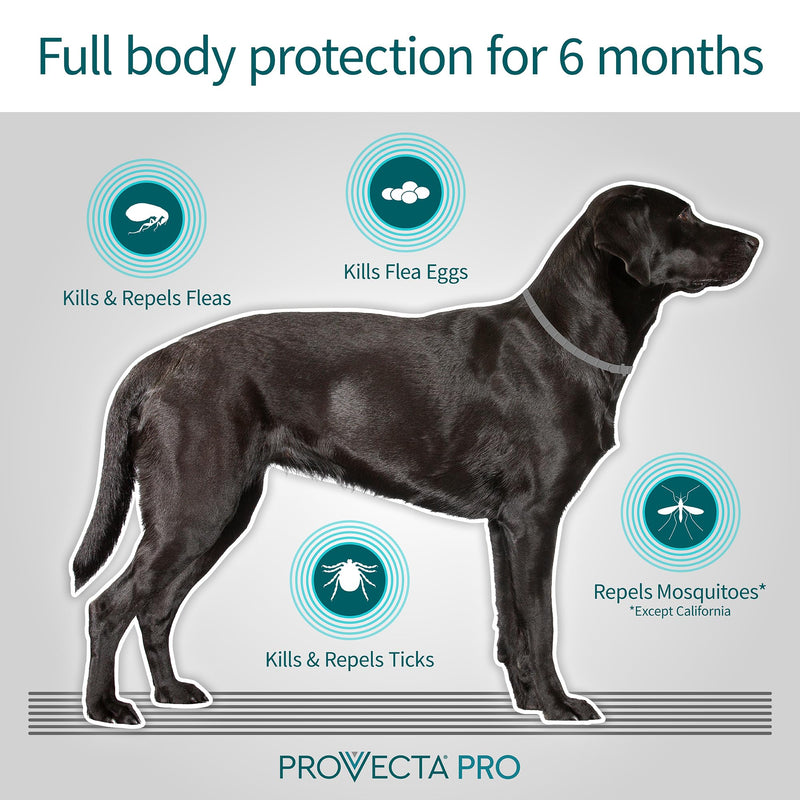 Provecta® PRO Flea & Tick Collar for Dogs