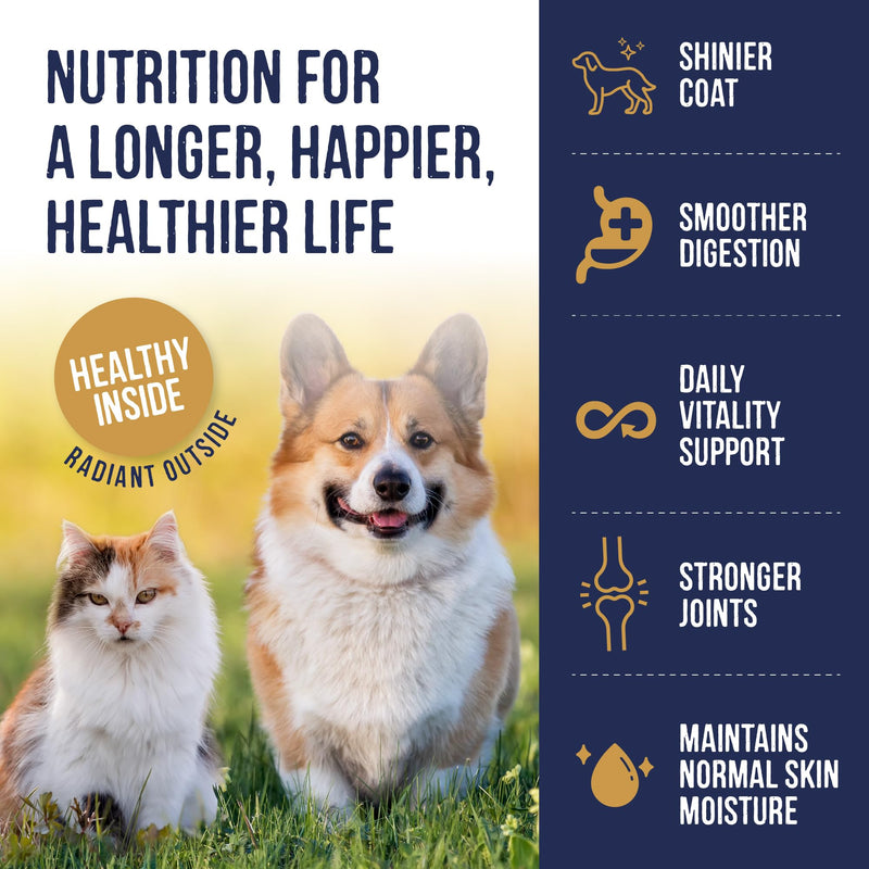 Harley & Marley Finest Atlantic Salmon Oil for Dogs & Cats - Pure Irish Fish Oil Supplement with Omega 3, 6 & 9 -Natural Ingredients for Healthy Skin, Coat, Joints & Heart Support - 250ml