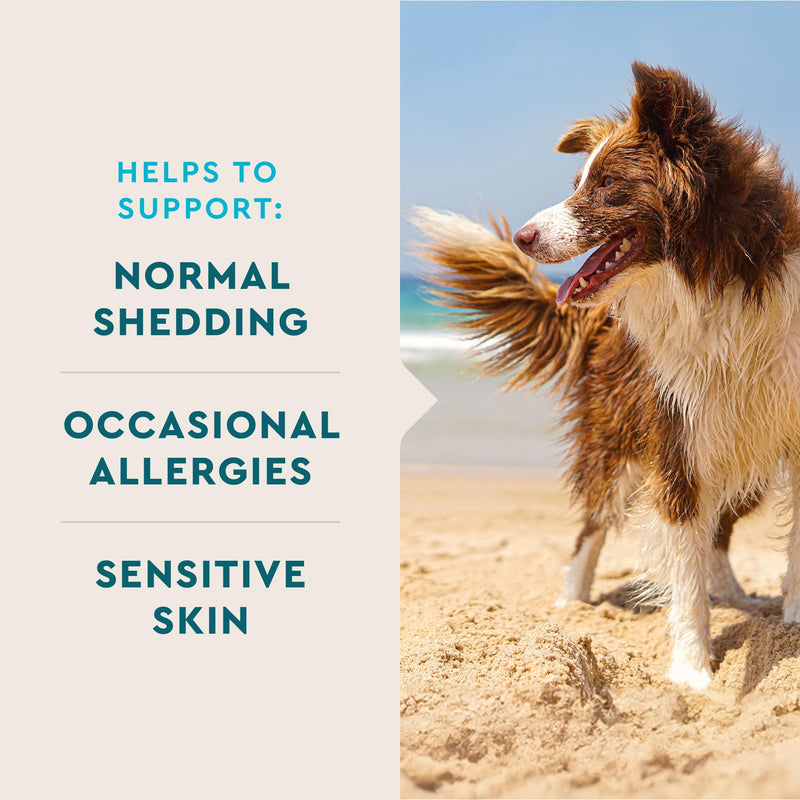 VetIQ Skin and Coat Supplement for Dogs, Helps Maintain Healthy Skin and Shiny Coat, Hickory Smoke Flavor Dog Chew, Made in The USA, 60 Count - BeesActive Australia