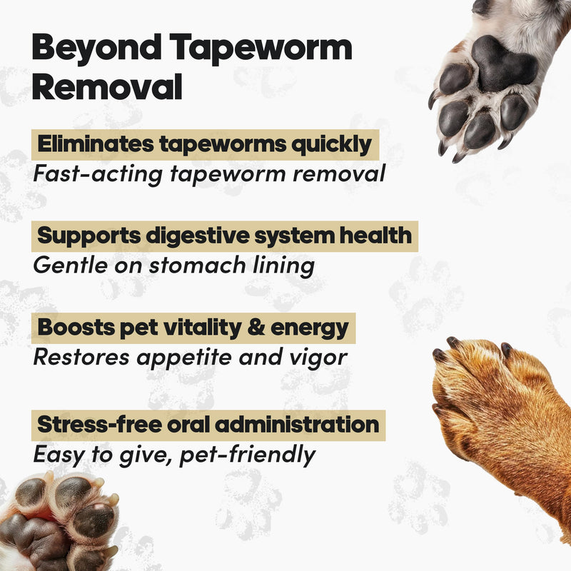 No More Tapeworms in Cats and Dogs- Dewormer for Cats and Dewormer for Dogs- USA Made Oral Suspension - Chicken Flavour with 3ml Dropper (60ml) 60ml Chicken