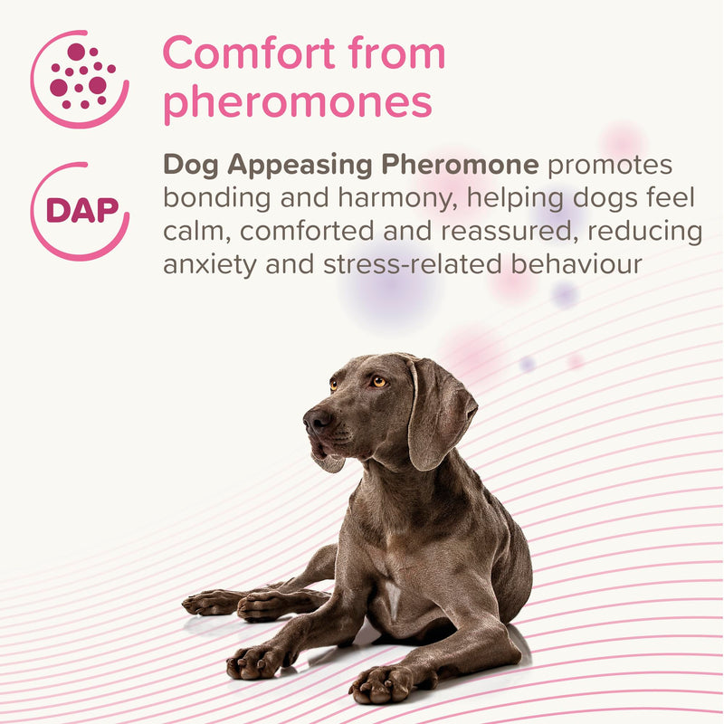Beaphar | CaniComfort Calming Diffuser Refill | Reduces Separation Anxiety & Stress in Dogs | Helps Ease Fear of Fireworks | Covers 70m² Area | Lasts Up To 30 Days 48Ml