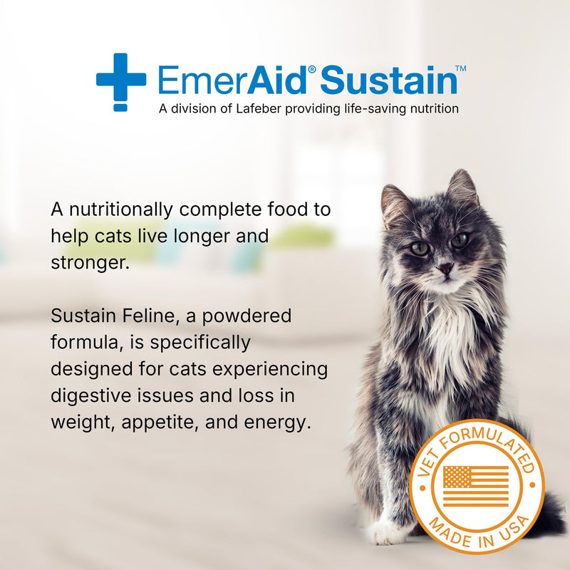 Sustain Feline Recovery Food for Cats 100 g 3.53 Ounce (Pack of 1) - BeesActive Australia