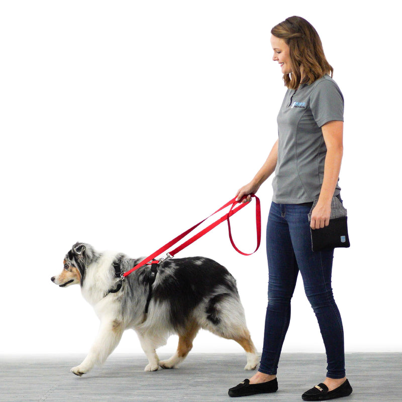 Blue-9 Multi-Function Hands Free Dog Leash, Double Attachment 6 Foot Adjustable Lead for Obedience, Running, and Agility Training, Made in The USA, Hot Pink, Small/Medium Small Medium - BeesActive Australia