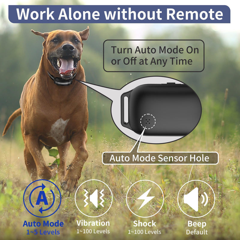 PetJoy 3 Dog Shock Collar for Large Dogs, Automatic Bark Collar with Remote, Bark and Training Collar Combo, Shock Collar with 5 Adjustable Levels of Sensitivity to Suit All Breeds of Dogs Bark 03 - BeesActive Australia