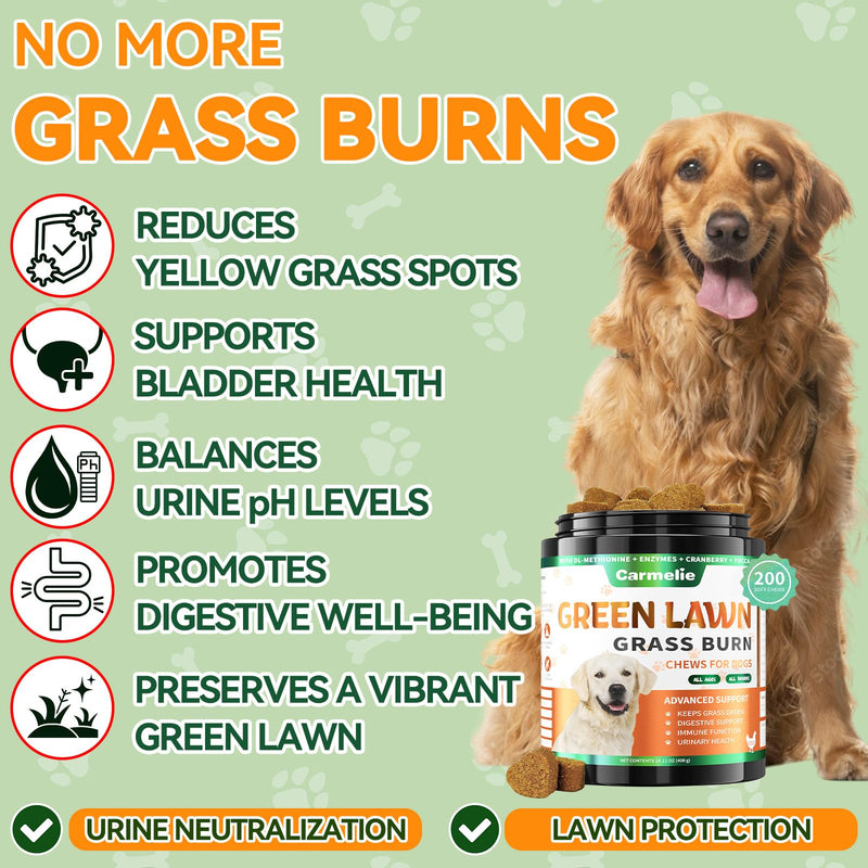 Lawn Spot & Flea Chews for Dogs - 200 Each - Flea & Tick Prevention with Skin Support + Grass Burn Spot Chews with Probiotics & DL-Methionine - Chicken Flavor