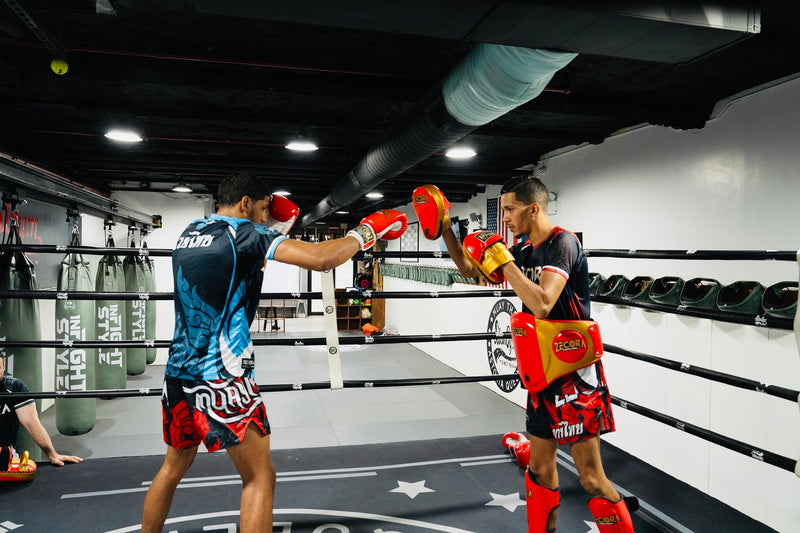 Boxing Pads Curved Focus Mitts, Microfiber Leather, Hook and jab Training Pads, Adjustable Strap Ventilated, MMA Muay Thai Kickboxing Coaching Gear Martial Arts