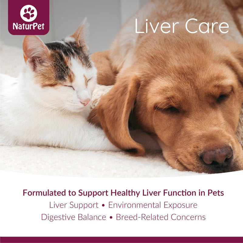 Liver Care for Cats and Dogs | Liver Health & Detox Support | 100 mL Herbal Tincture
