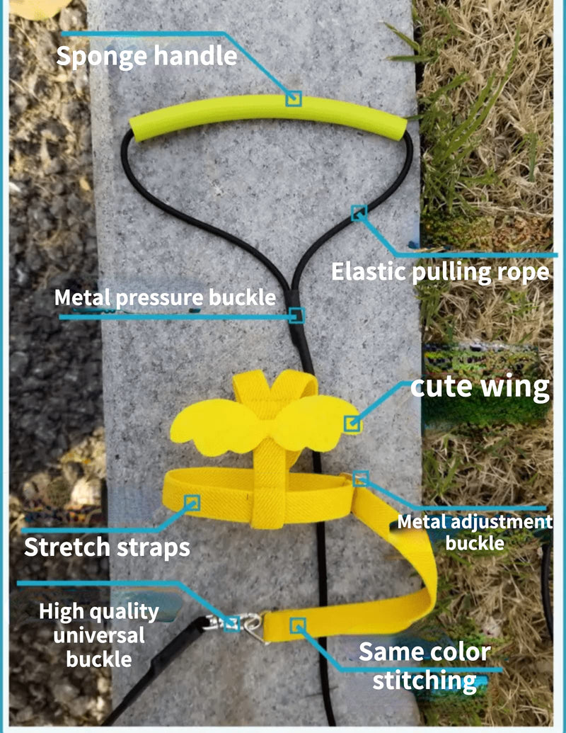 Pet Parrot Bird Harness Leash Adjustable Bird Flying Harness Traction Rope with Cute Wing for Parrots Pigeons Budgerigar Lovebird Cockatiel Mynah Outdoor Training Toy (M, Blue) Medium - BeesActive Australia
