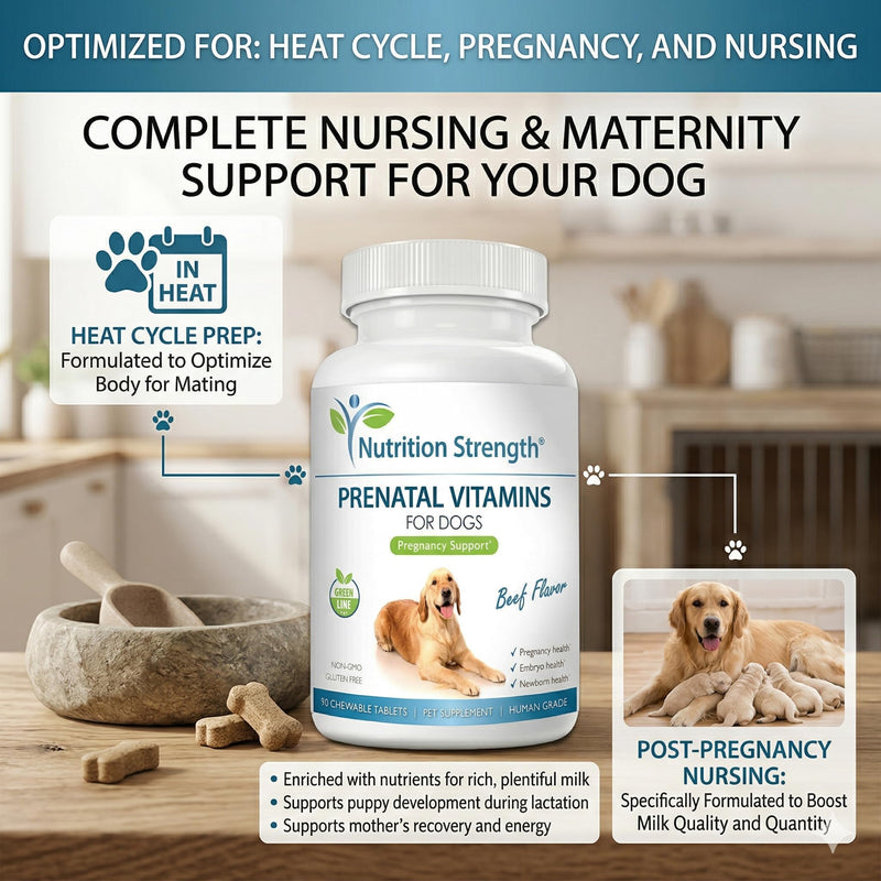 Prenatal Vitamins for Dogs to Support Development of Healthy Puppies, Promote Milk Production, with Folic Acid, Iron, Zinc, Iodine, B Vitamins for Pregnant Dogs, 90 Chewable Tablets Beef