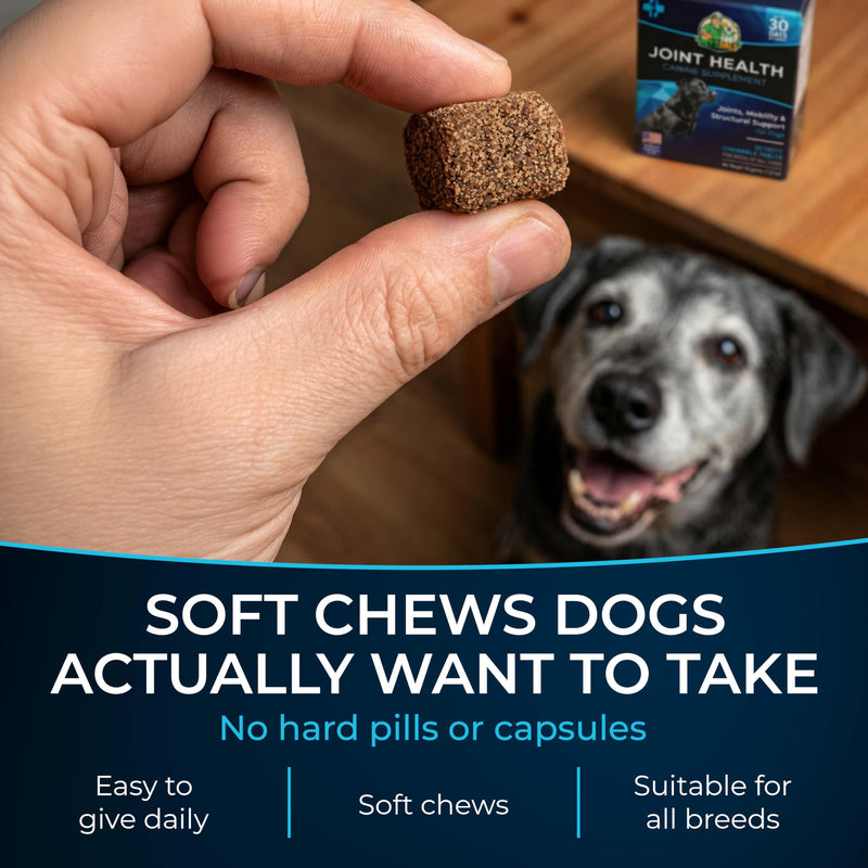 PET'S PALS Dogs Joint Health Supplement - Glucosamine, Chondroitin & MSM - Supports Healthy Joints - Chewable Tablets for Dogs - 30 Soft Chews