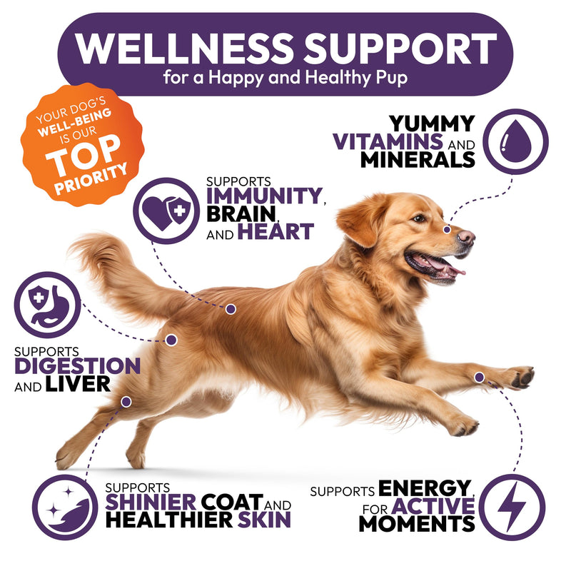 Dog Multivitamin Chewable - Dog Vitamins and Supplements with Glucosamine - 170 Chews - Hip & Joint, Pet Immune Support, Skin & Coat, Gut & Heart Health - Senior & Puppy Multivitamin Pet Supplement