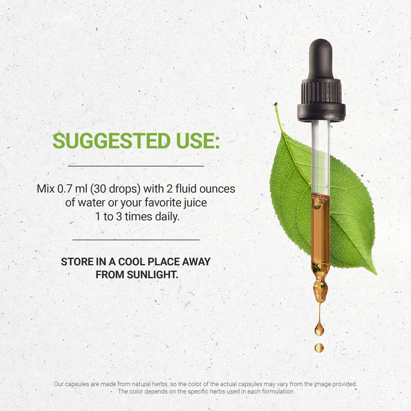 Secrets of the Tribe Blue Cohosh USDA Organic Alcohol-Free Tincture (Glycerite) Responsibly farmed Blue Cohosh (Caulophyllum Thalictroides) Dried Root (2 Fl Oz) Women's Health Supplement 2 Fl Oz (Pack of 1) - BeesActive Australia