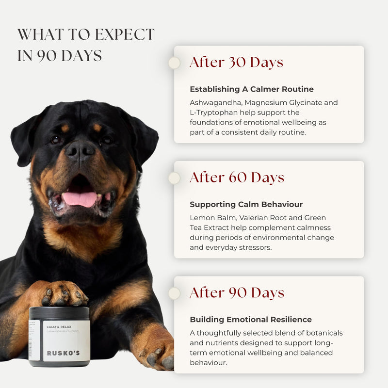 Rusko's Calming Supplement for Dogs | Supports Anxiety Relief, Stress & Nervous Behaviour | Ashwagandha, Valerian Root & L-Tryptophan | 120 Soft Chews
