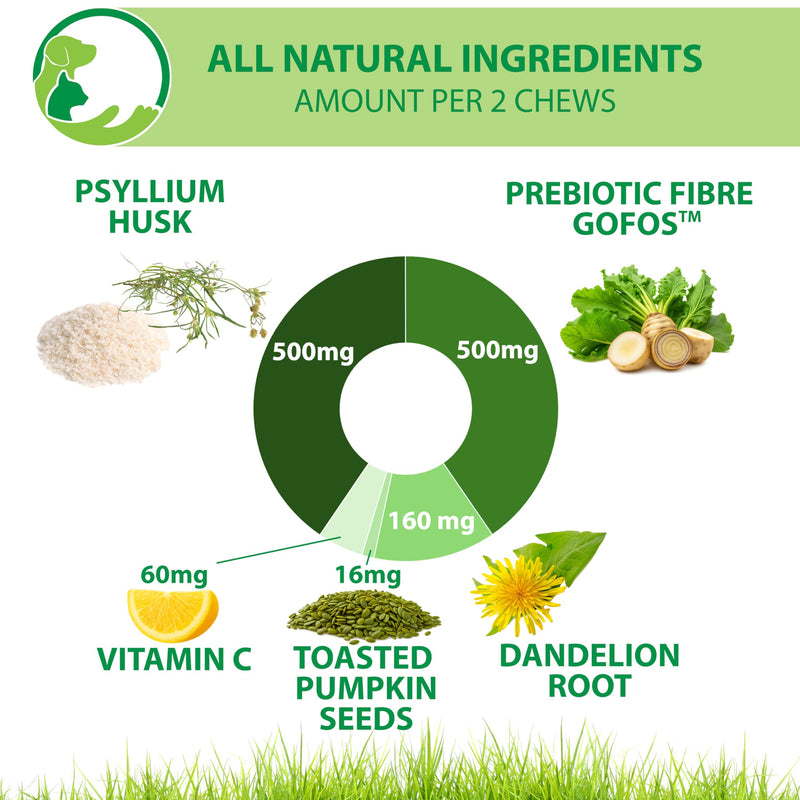 Primary Pets Premium Pet Supplies Scoot Relief Treats, Anal Gland Support for Dogs | High Fibre Supplement with Psyllium Husk, Pumpkin Seeds, Dandelion Root & Prebiotics | 60 Soft Chews 60 Chews
