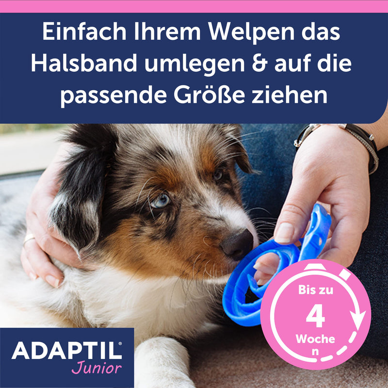 ADAPTIL Junior collar pheromone collar - BeesActive Australia