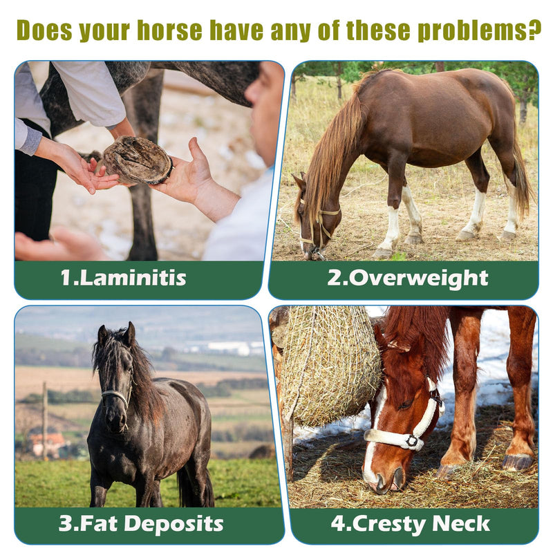 Insulin Resistance Supplement for Horses - Horse Laminitis Treatment-Natural Laminitis Herbal Powder for Sore Feet & Chronic Laminitis, 1.87lb (90-Day Supply) 1.87lb (90-Day Supply) - PawsPlanet Australia